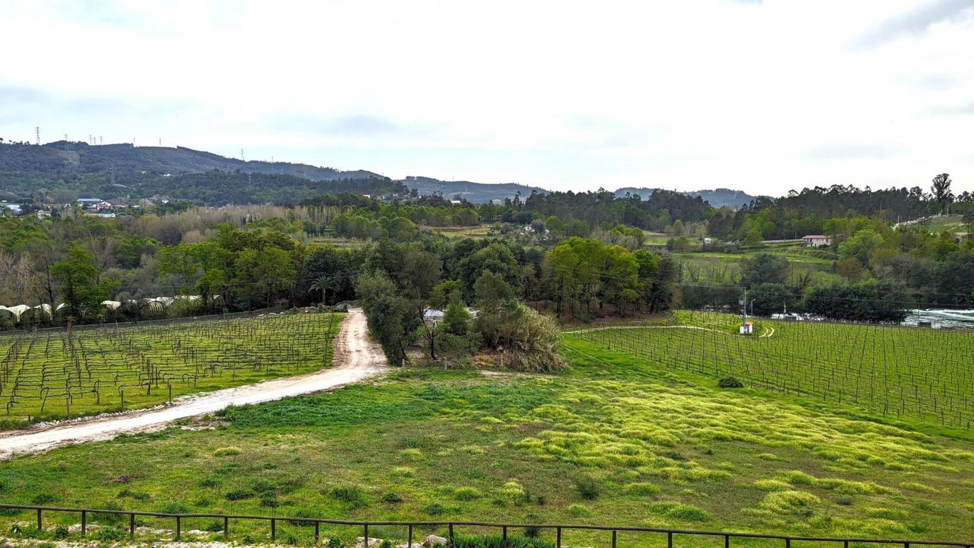 Quinta Do Burgo - Turismo Rural Amares Exterior foto