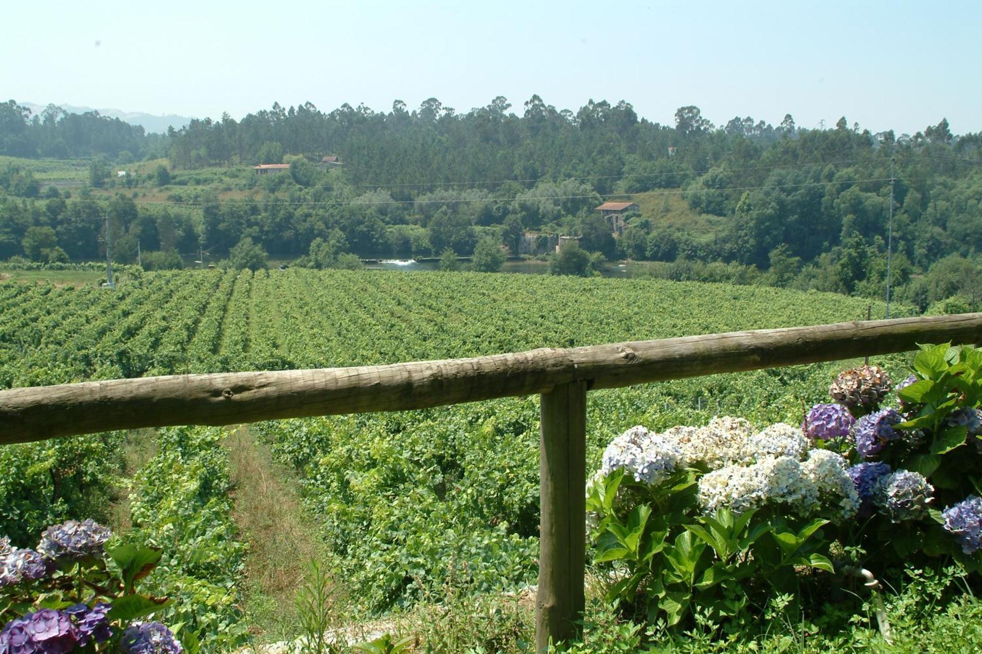 Quinta Do Burgo - Turismo Rural Amares Exterior foto